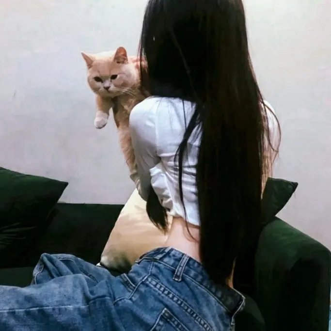 袋鼠丝苗为两餐粤语